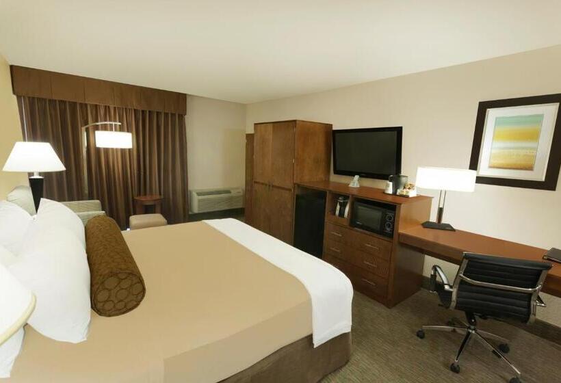 Номер Стандарт Кровать Кинг Адаптированный для Инвалидов, Best Western Plus Atrium Inn