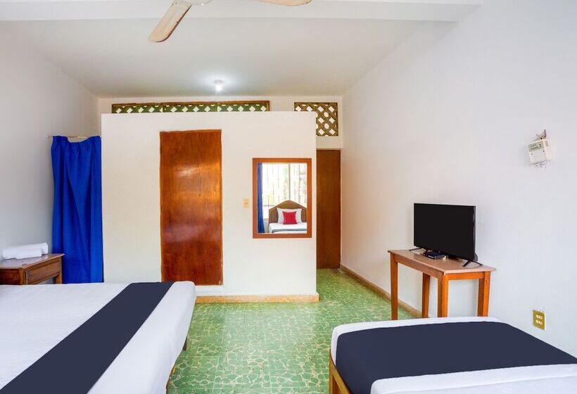 Quarto Triplo Estandar, Adelita