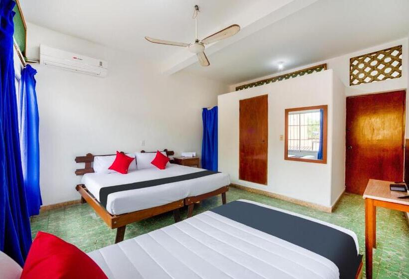Quarto Triplo Estandar, Adelita