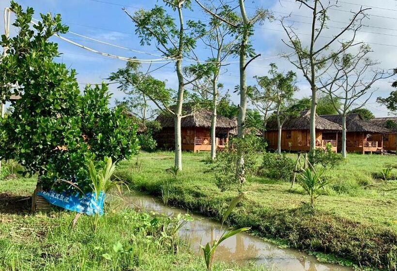 اتاق استاندارد با تخت بزرگ, Mekong Daniel Homestay Can Tho