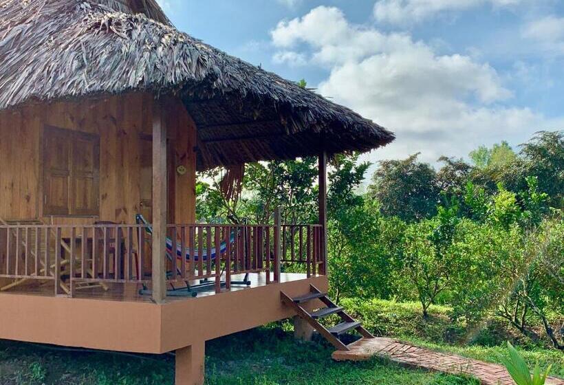 اتاق استاندارد با تخت بزرگ, Mekong Daniel Homestay Can Tho
