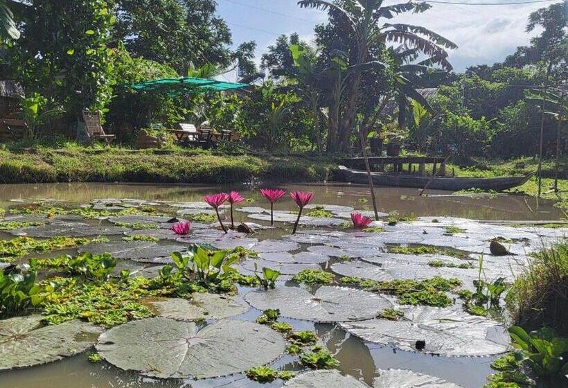 بانگلوی سوپریور, Mekong Daniel Homestay Can Tho