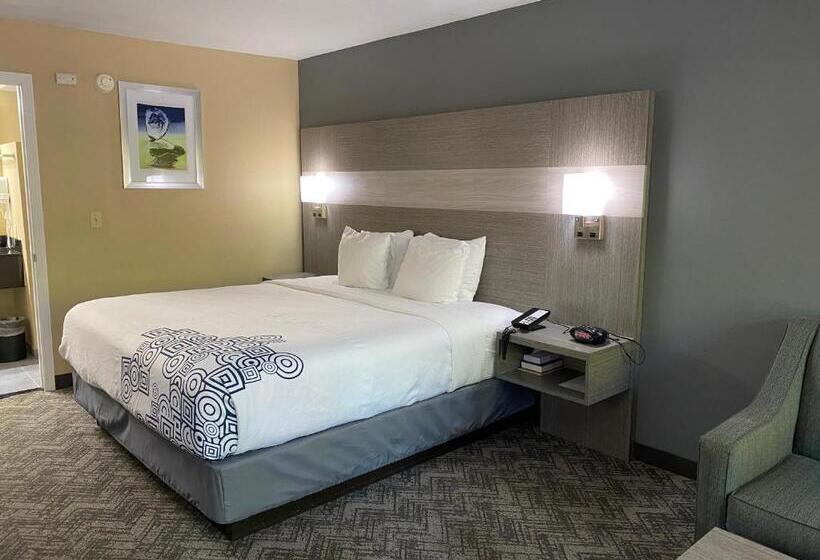 חדר סטנדרט עם מיטת קינג, Best Western Apalach Inn