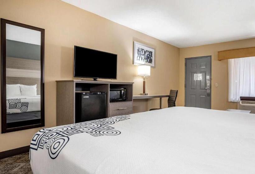 חדר סטנדרט עם מיטת קינג, Best Western Apalach Inn