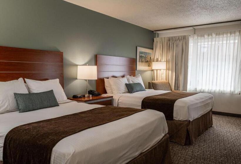 스탠다드 룸, Best Western Buffalo Ridge Inn Near Mt Rushmore