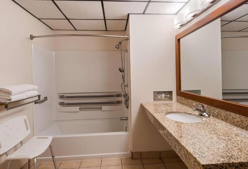 스탠다드 룸, Best Western Buffalo Ridge Inn Near Mt Rushmore