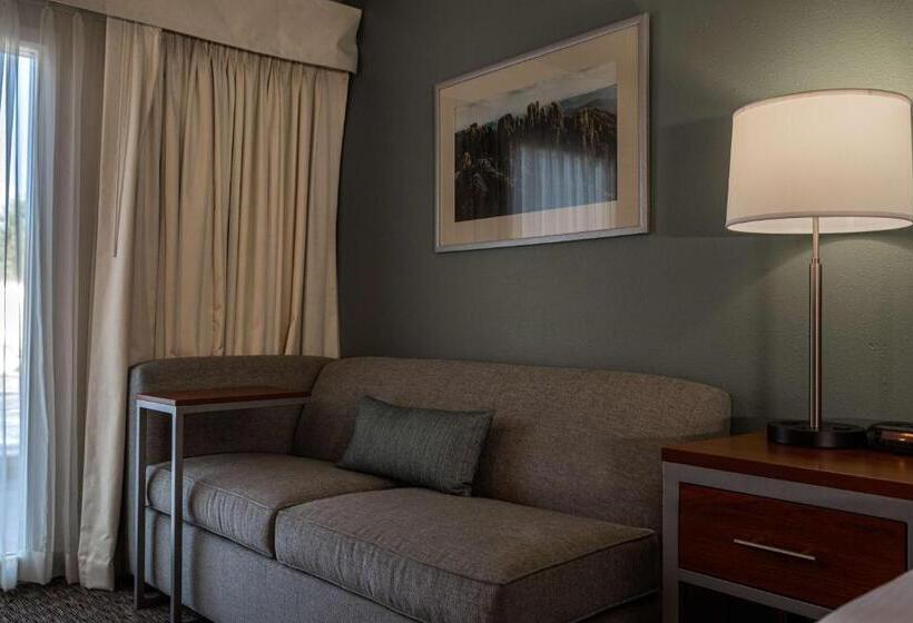 스위트, Best Western Buffalo Ridge Inn Near Mt Rushmore