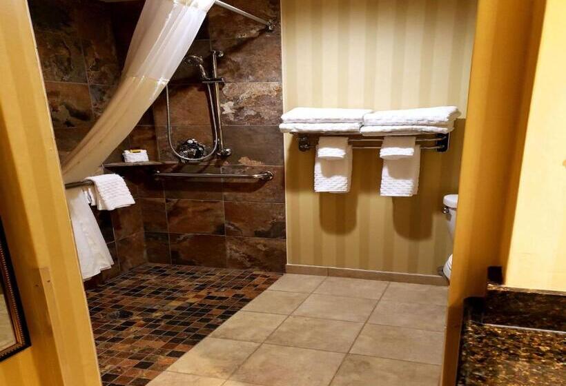 חדר סטנדרט מותאם לאדם עם מוגבלויות, Best Western Plus Canyonlands Inn