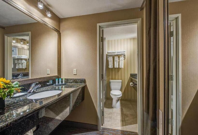סוויטה, Best Western Plus Canyonlands Inn