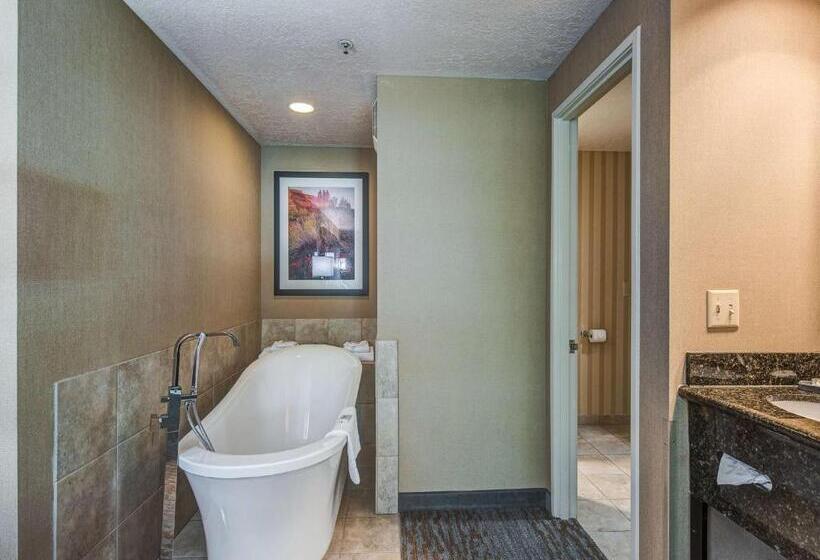Президентский Люкс, Best Western Plus Canyonlands Inn