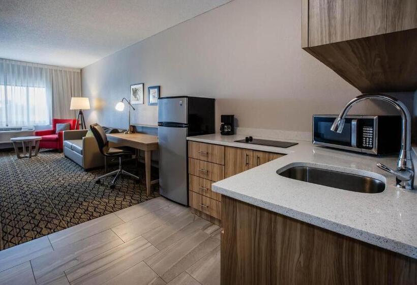Люкс Кровать Кинг, Days Inn & Suites By Wyndham Rochester Hills Mi