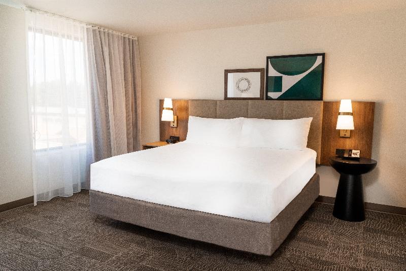 キングサイズベッドのデラックスルーム, La Quinta Inn By Wyndham Tampa Near Busch Gardens