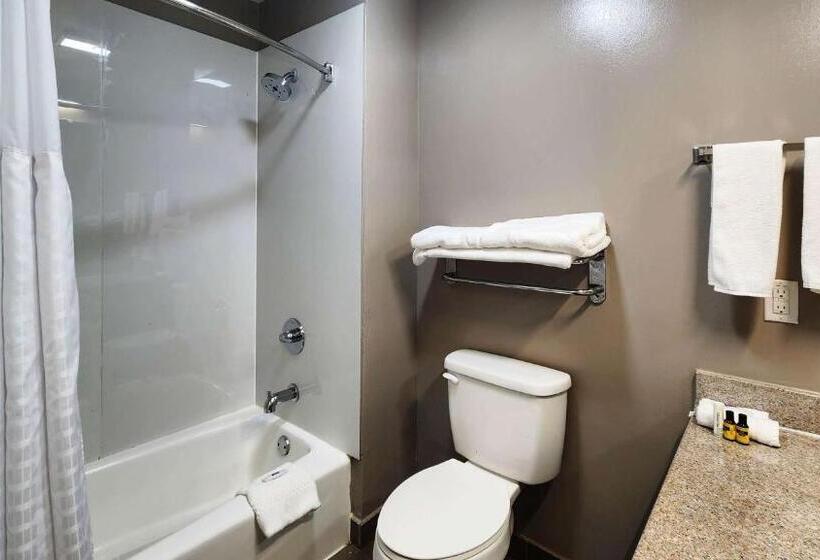 Номер Стандарт, Motel 6ennis, Tx