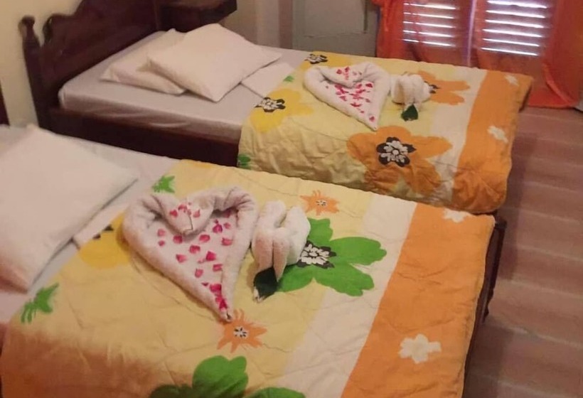 이코노미 룸, Angela   Zoi Rooms