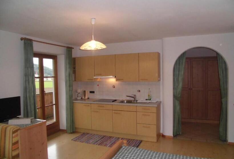 Апартаменты 1 Спальня с Видом, Appartements Färberhof