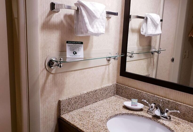 Номер Стандарт 2 Двуспальные Кровати, Best Western Merry Manor Inn