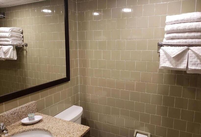 חדר סטנדרט, Best Western Merry Manor Inn
