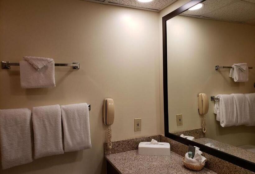 Номер Стандарт 2 Двуспальные Кровати, Best Western Merry Manor Inn