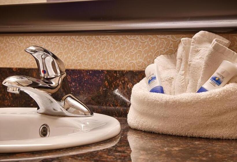 חדר סטנדרט מותאם לאדם עם מוגבלויות, Best Western Plus Inn At Hunt Ridge