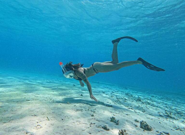 اتاق استاندارد یک نفره, Blue Water Thoddoo Inn