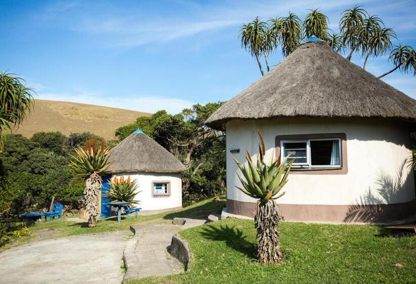 Номер Стандарт Совместная Ванная, Coffee Shack Adventure Backpackers & Self Catering