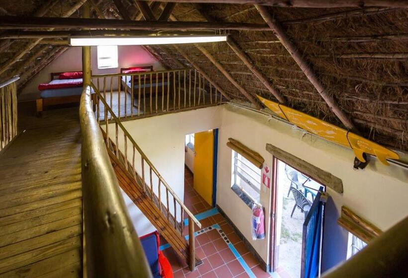 Дом 1 Спальня, Coffee Shack Adventure Backpackers & Self Catering