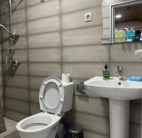 اتاق لوکس, Mtskheta Wellpoint Arsukidze 48