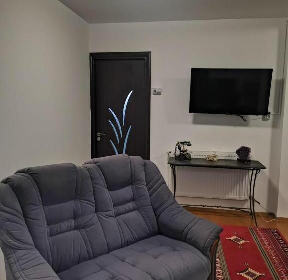 آپارتمان 2 خوابه, Viking Apartment Grigo