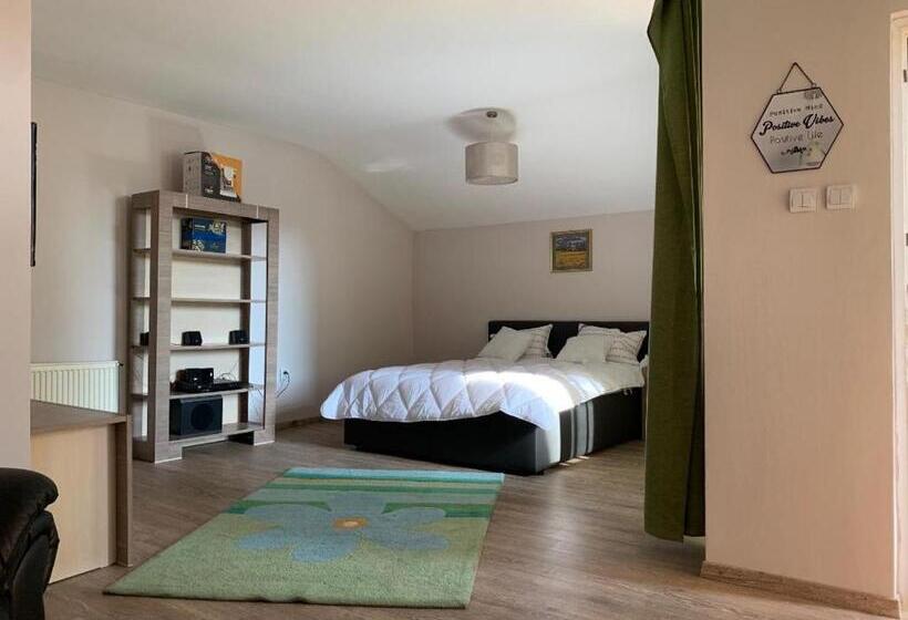 استودیو استاندارد با بالکن, Viking Apartment Grigo