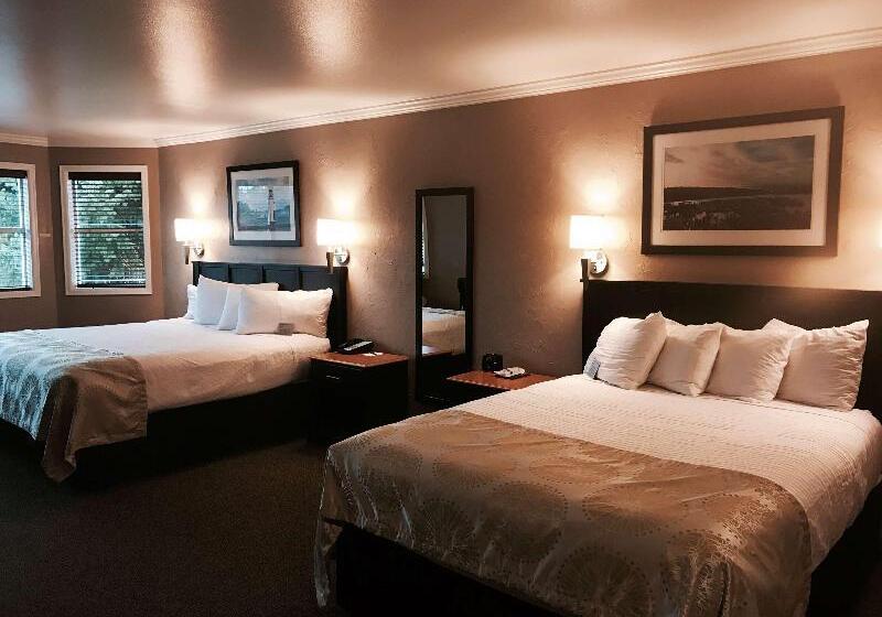 Номер Стандарт, Best Western Wesley Inn & Suites