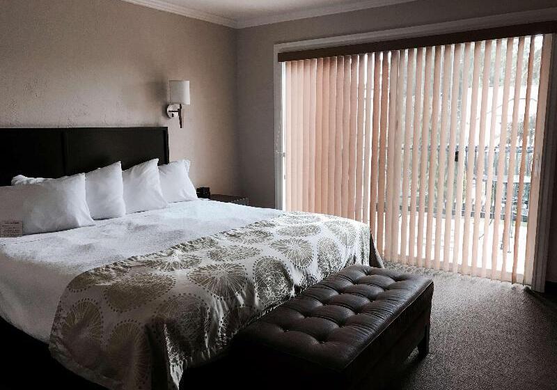 Люкс Кровать Кинг, Best Western Wesley Inn & Suites