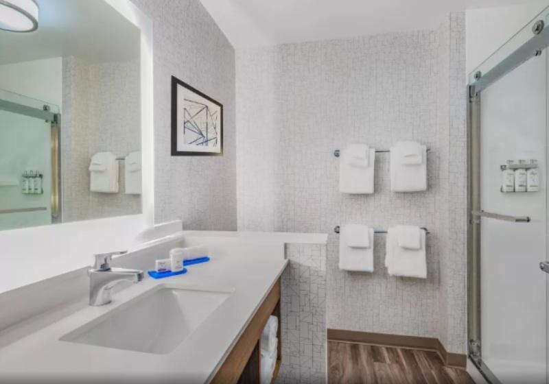 장애인을 위한 킹사이즈 침대 스탠다드 룸, Holiday Inn Express & Suites   Ruskin, An Ihg