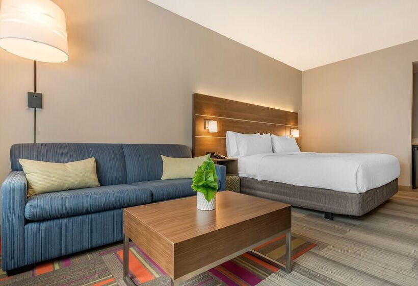 스위트, Holiday Inn Express & Suites   Ruskin, An Ihg