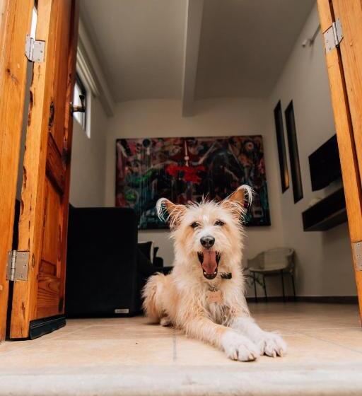 Family Suite, Tabaa Oaxaca