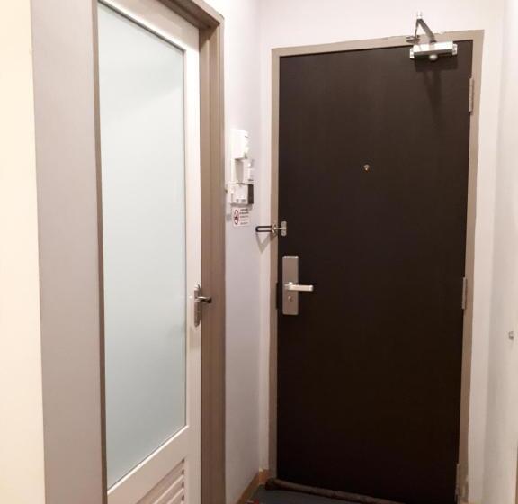 Quarto Estandar, Lumut