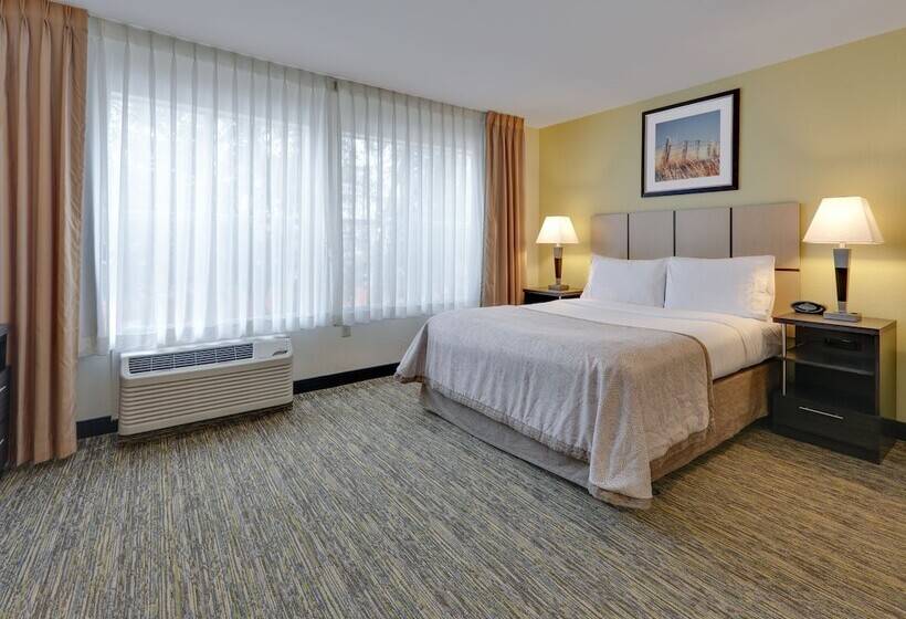 استودیوی استاندارد, Candlewood Suites Dallas Market Center Love Field, An Ihg