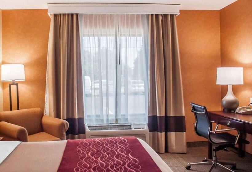 Стандартный Номер Кровать Кинг, Quality Inn Near Walden Galleria Mall