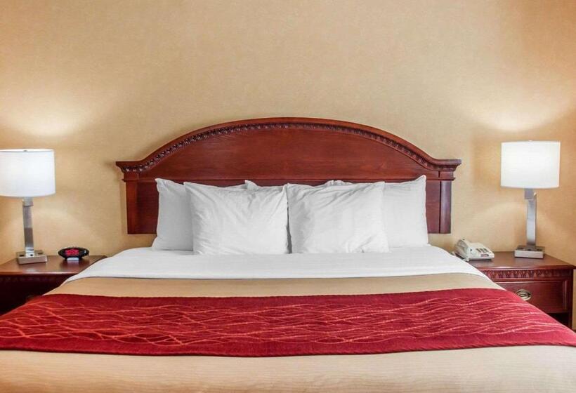 Номер Стандарт Кровать Кинг Адаптированный для Инвалидов, Quality Inn Near Walden Galleria Mall