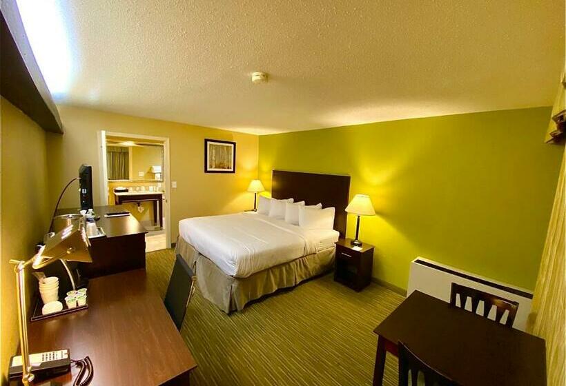 장애인을 위한 킹사이즈 침대 스탠다드 룸, Wyndham Garden Ann Arbor