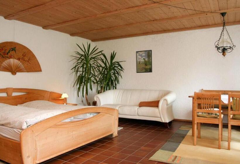 Номер Стандарт, Pension Steiger
