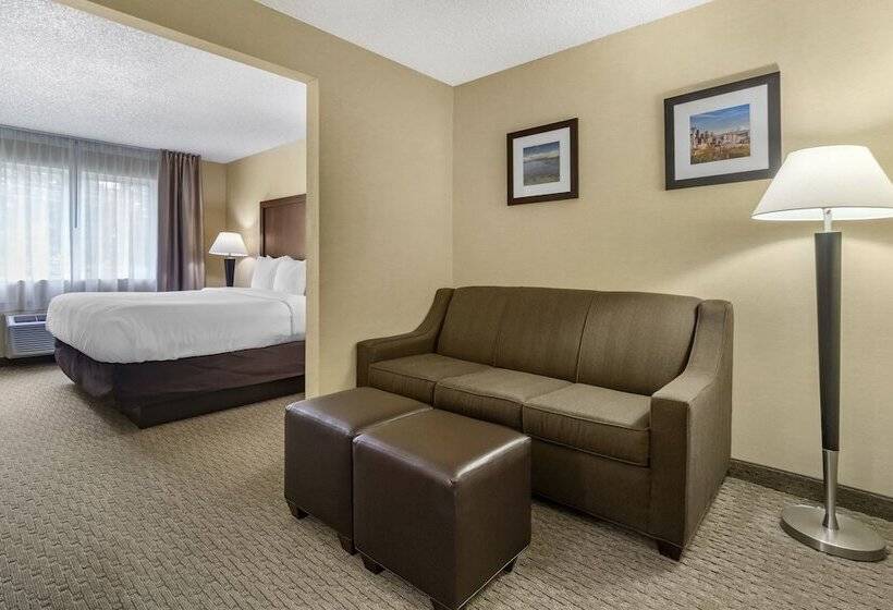 סוויטה, Comfort Inn & Suites Bothell   Seattle North