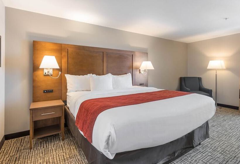 Стандартный Номер Кровать Кинг, Comfort Inn Grove City  Columbus South