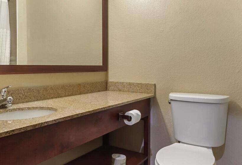프레지덴셜 스위트, Comfort Inn Hobart Merrillville I 65