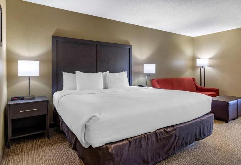 Стандартный Номер Кровать Кинг, Comfort Inn Opelika  Auburn