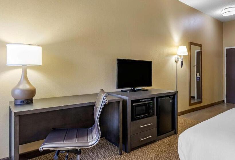 Номер Стандарт Кровать Кинг Адаптированный для Инвалидов, Comfort Inn Opelika  Auburn