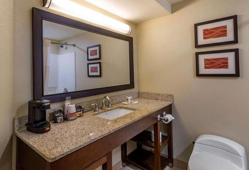 Люкс Адаптированный для Инвалидов, Comfort Inn Opelika  Auburn
