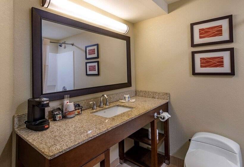 Люкс Адаптированный для Инвалидов, Comfort Inn Opelika  Auburn