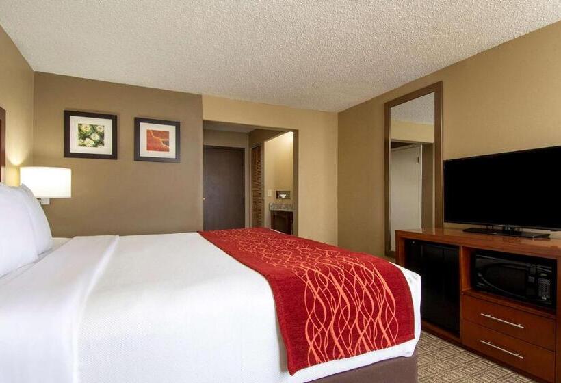 Стандартный Номер Кровать Кинг, Comfort Inn