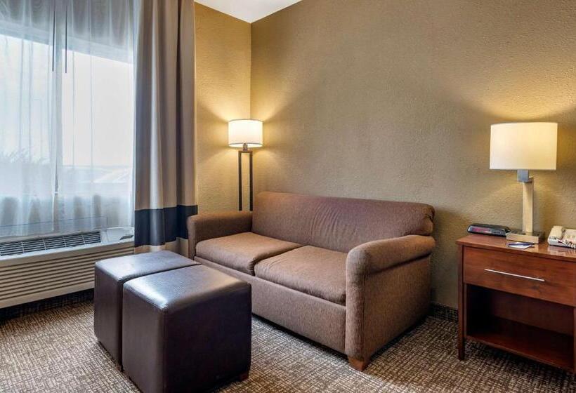 Стандартный Номер Кровать Кинг, Comfort Inn Shelbyville North