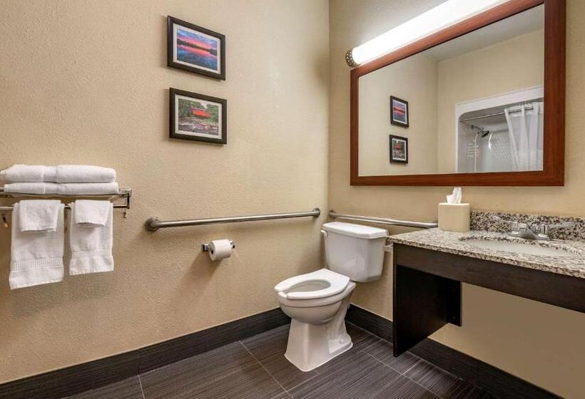 Номер Стандарт Адаптированный для Инвалидов, Comfort Inn Shelbyville North